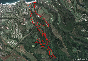 Run Course - Picture Courtesy of http://www.xterraplanet.com/maui/mauiTrailRun.html